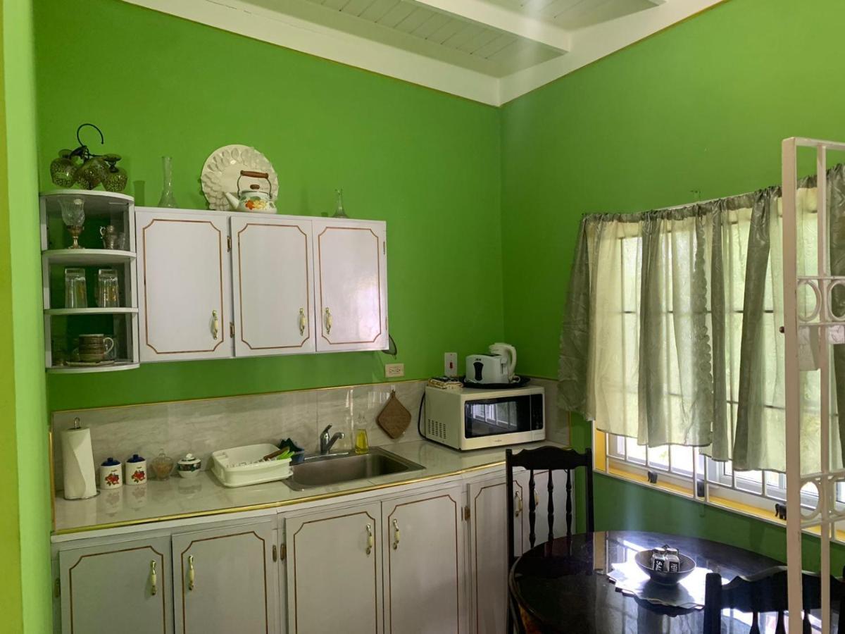 Shalom Suite 2, Manor Park Kingston Luaran gambar